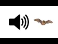 Bat Sounds - Sound Effect ProSounds