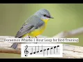 Download Lagu Doraemon Whistle 1 Hour Loop for Bird Training