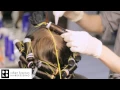 Digital Curl