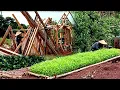 Download Lagu Panen kangkung dan angkat balok kayu dari hutan ep 240