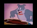Lagu Tom and Jerry Cartoon 1940  -  The Truce Hurts   EP35