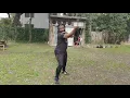 El Matreg: Counters from the basic parries