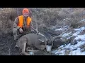 35-inch Monster Muley - MonsterMuleys com