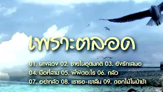 เพราะตลอด ชายในอุดมคติ/ยังรักเสมอ/พี่ผิดอะไร