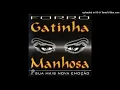 Download Lagu FORROZÃO DAS ANTIGAS - COM GATINHA MANHOSA - 100% ROMÂNTICO - EXCEPCIONAL