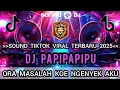 Lagu DJ VIRAL TIKTOK TERBARU 2025‼️ORA MASALAH KOWE NGENYEK AKU ( PAPIPAPIPU )‼️
