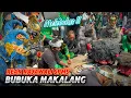 Download Lagu PENTAS LAGI GUYSSS ‼️ BUBUKA TERBARU FULL DURASI - SENI REAK RAJAWALI SPMS DI RANCALAME