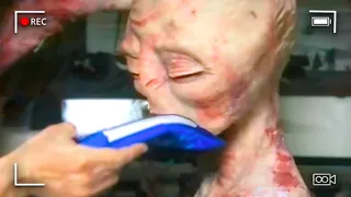 Cops Discover Unthinkable In Laboratory During Welfare Check