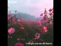 i will give you my all, forever - Everfield
