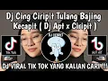 Download Lagu DJ CING CIRIPIT TULANG BAJING KEJEPIT || DJ APT CING CIRIPIT VIRAL TIKTOK TERBARU YANG KALIAN CARI
