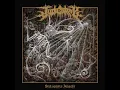 Judiciary • Stalagmite Angel [Full EP]
