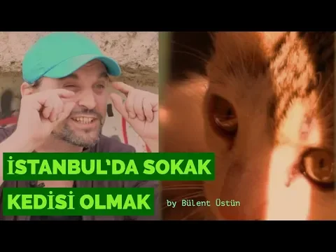 İstanbul'da Sokak Kedisi Olmak YouTube video detay ve istatistikleri