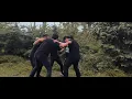 Download Lagu Tari Kreasi Kelompok New Strong Team | SMA Negeri 1 Wamena