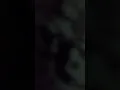 Megan is Missing clip-1 Don t watch alone