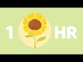 Download Lagu sunflower 🌻 (1 hour) : cute music