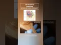 Download Lagu DID YOU KNOW ?? UTERUS SIZE BEFORE AND DURING PREGNANCY | 3