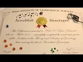 Gemology Schools A Candid Review from Someone Who s Been There