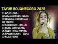 TAYUB BOJONEGORO 2025 | KARNAVAL