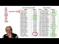 Genetic Algorithms Improving through random mutation