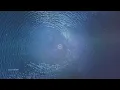 Crystal Waves 💎432Hz - Crystal Harp & Gong + Water Koshi 🧘 Healing Chakra Meditation