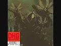 DHG ~ Shiva-Interfere
