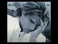 Ricky Martin 6 mejores canciones.