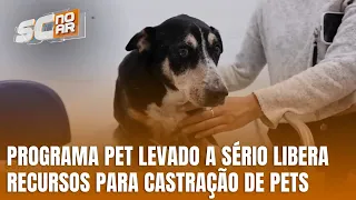 Programa Pet Levado a Sério: governo de SC começa distribuição de recursos