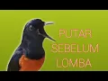 Download Lagu PANCING EMOSI SEBELUM LOMBA