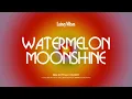 Download Lagu Lainey Wilson - Watermelon Moonshine (Official Audio)