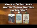 Download Lagu 🧝‍♀️💭 What Does The Spirit World Want You To Know About Your Life Right Now? 🔮 Pick A Card Reading 