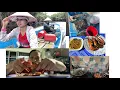 Lagu Tangkapan Hasil Bubu Sebelum Balik Sibu//Masak Udang \u0026 Bakar Udang// Mukbang Udang Fresh Hasil Bubu