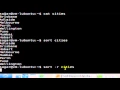 Sort command in Linux