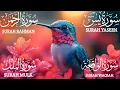 Download Lagu Mind Refreshing Recitation Surah Yaseen🧡Surah Rahman🧡Surah Waqiah🧡Sura Mulk #qurantilawat Episode455