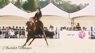 جربت الكيف ربيع العمري 