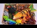 Download Lagu UNBOXING NEW ZURU INSECT | RC Crocodile, Robo Black Spider , RC Butterfly Compilation ASMR