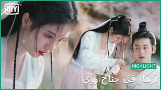 أنا فداء لكي أزهار في جناح روي IQiyi Arabic 