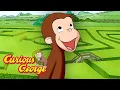 Race to the Finish Curious George Kids Cartoon Kids Movies