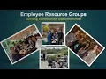 Employee Resource Groups Building Connections and Community