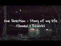 Download Lagu One Direction - Story of my life (Slowed + Reverb)