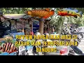 Download Lagu REVIEW HARGA IKAN HIAS DI PASAR IKAN TERBESAR KOTA BANDUNG PASAR IKAN MUARA TEGALLEGA 🔥