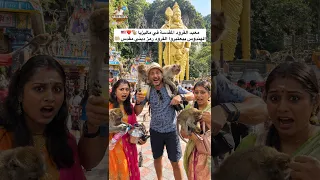 معبد القرود المقدسة في ماليزيا …الهندوس بيعتبروا القرود رمز ديني مقدس 🤲🏼❤️🐒🇲🇾