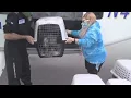 Shelter dogs from South Carolina arrive in State College