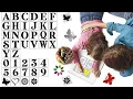 4 Inch Letter Stencils Reusable Plastic Large Alphabet Art Craft Stencils for Painting on Wood