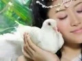 Download Lagu negri di awan - kla project