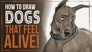 How To Draw Dogs That Feel Alive