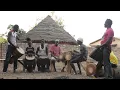 Download Lagu Keita djembe family in Sangbarala - Guinea - 2014