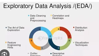Mastering EDA with Python Population Data Example