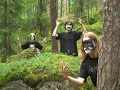 Immortal - Call of the Wintermoon Tribute