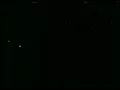 Marco Di Mauro Live Nada De Nada 🐯🦉❗