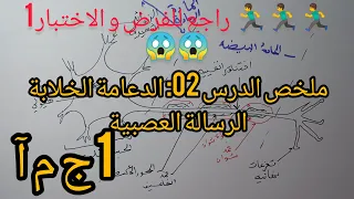 ملخص بسط للمراجعة للفرض الإختبار 1 سنة 1 ج م آ الدرس 2 الدعامة الخلوية للرسالة العصبية 